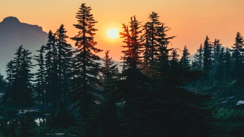 A peaceful scene with trees, mountains and the setting sun.