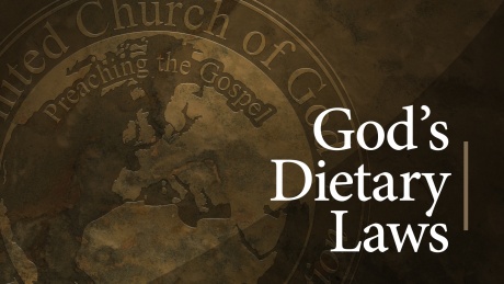 God's Dietary Laws