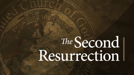 The Second Resurrection