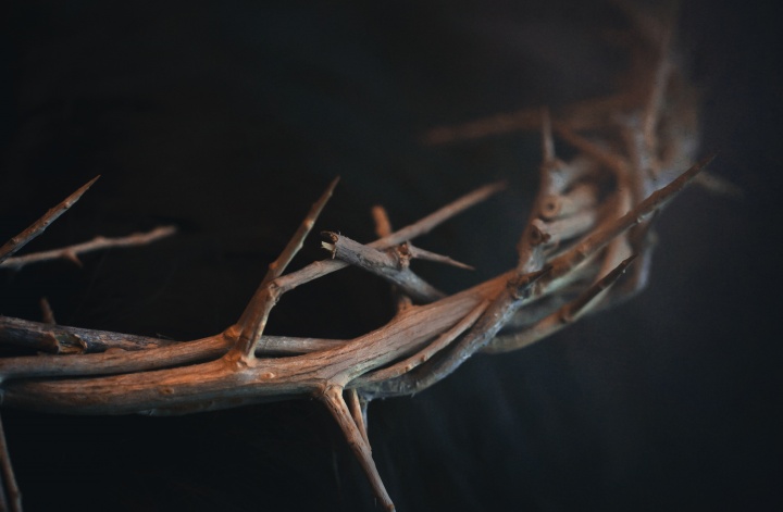 Crown of thorns. 
